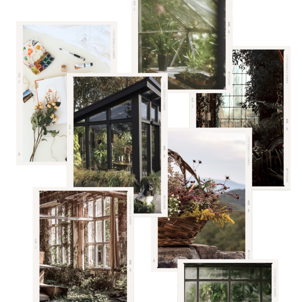 Ivy & Wisteria Pop Up Concept Board