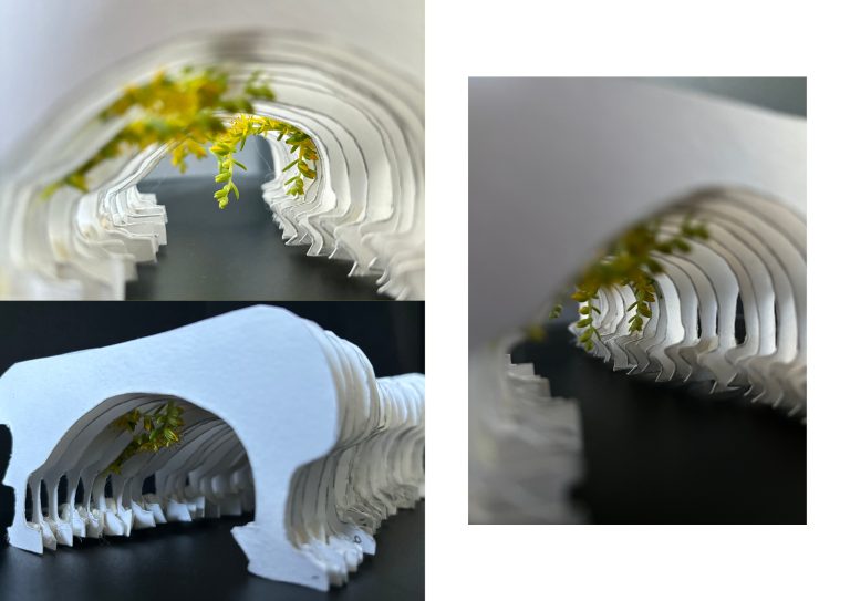 BELLE - CENTERAL COVE P5