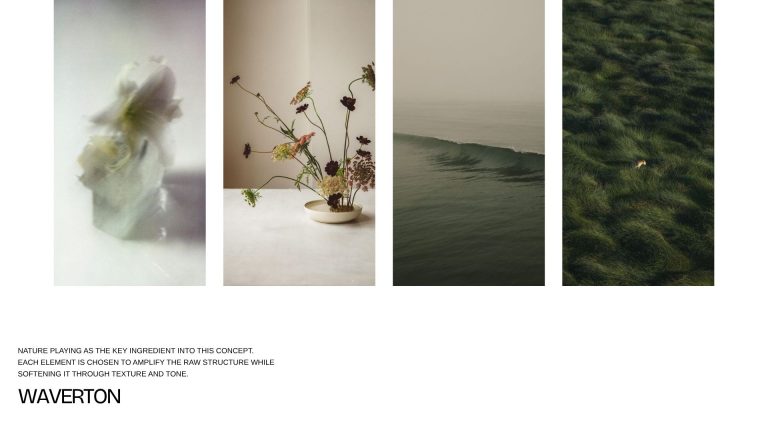 C.Eves Project 4 Image 2